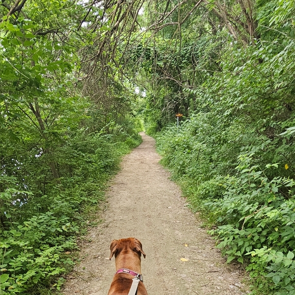 Meet your Posher, Joe - Picture 3 of 3